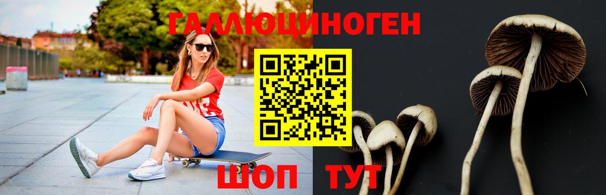 Лабытнанги  Псилоцибиновые грибы прущие грибы  цены наркотик  Вход с VPN 